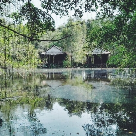 Thiên Việt Travel 