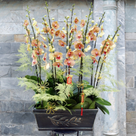 123Flower