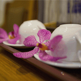 Airport Saigon Hotel