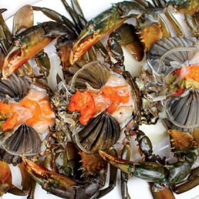 Cua Một Càng Old