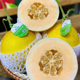 Luôn Tươi Sạch