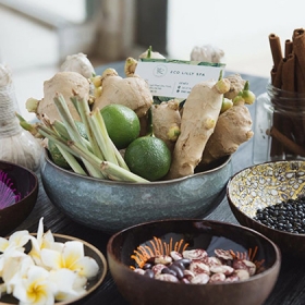 Eco Lilly Spa 