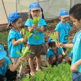 Farm Hồ Gia