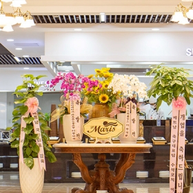 D'Maris Hà Nội