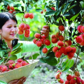 Du lịch Quốc tế Hoàng gia 