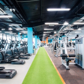 The New Gym