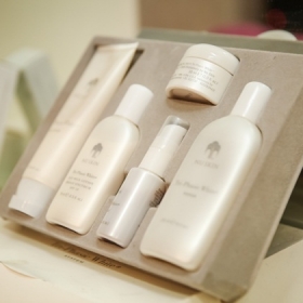 Ginkgo Beauty & Spa