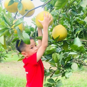 Farm Hồ Gia