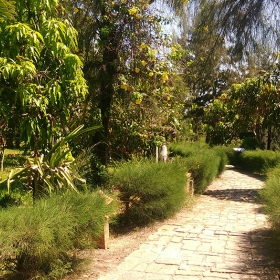 Skystar Resort tiêu chuẩn 3 