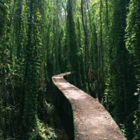 HAPPY TOUR