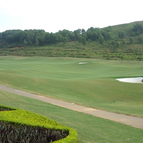 Royal Golf Club