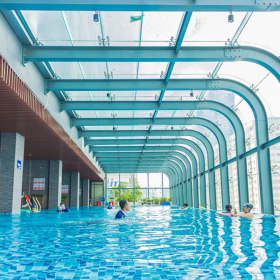 Dolphin Swim School