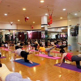 Yoga Life