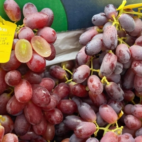 Luôn Tươi Sạch