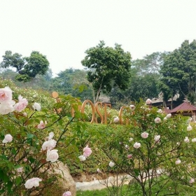 Paragon Resort