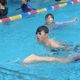 Dolphin Swim School