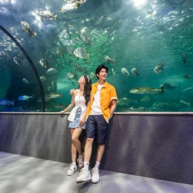 Vé VinKE & Aquarium Times City  