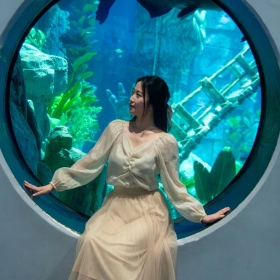 Vé vào cổng Thủy cung Lotte World Hà Nội Thứ 2 đến Thứ 6 - Khách hàng từ 80cm - 140cm