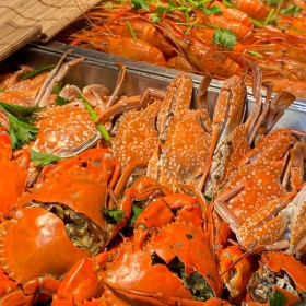 DMaris Miền Nam