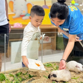 B-Zone Vivo - Vé vui chơi dành cho người lớn