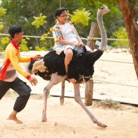 Khu du lịch Bàu Trắng U&ME - Bình Thuận