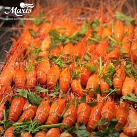 D'Maris Miền Nam - Voucher buffet cuối tuần hoặc Lễ Tết buổi tối