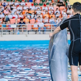 Danang Dophilnarium