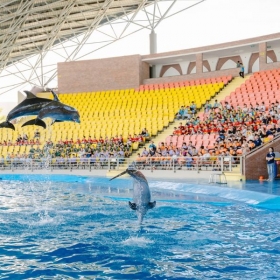 Danang Dophilnarium