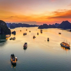  Paradise Cruise