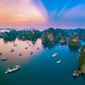  Paradise Cruise