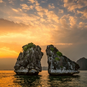  Paradise Cruise