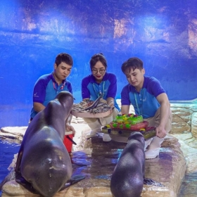 Lotte World Aquarium Tây Hồ Hà Nội