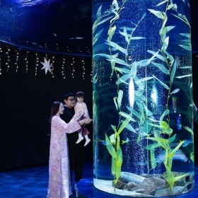 Vé Lotte World Aquarium Tây Hồ Hà Nội