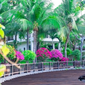 Lotus Muine Resort & Spa 