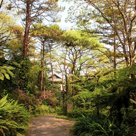 Melia Ba Vì Mountain Retreat
