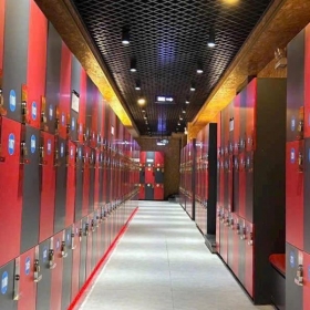 ONE XSports