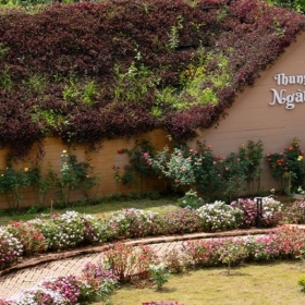 Phoenix Mộc Châu 