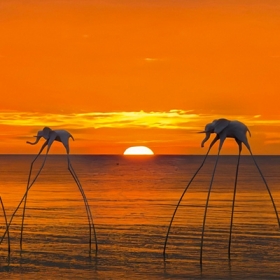 Sunset Sanato 