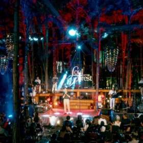 Soul Of The Forest