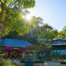 Tea Resort Prenn