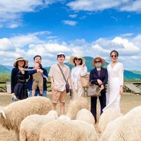 Vietjoy Tourist