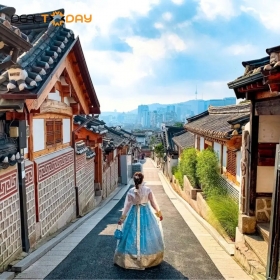 Tour du lịch khám phá Hàn Quốc - Seoul - Đảo Nami - Ngắm mùa lá vàng 5N4Đ