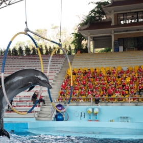 Tuần Châu Park