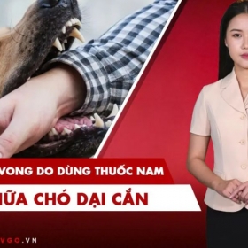 Truyền hình Online VTVGo
