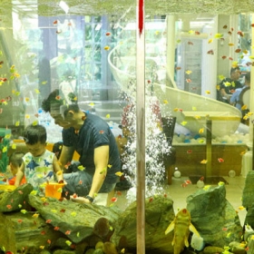 Ccomaya Kids Cafe