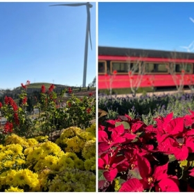 Euro Garden