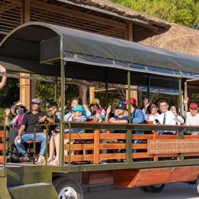 Safari Cafe