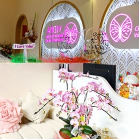 Vidia Clinic
