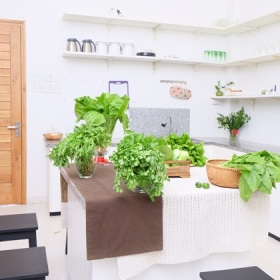 Lữ Tấn Villa Đà Lạt