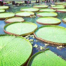 Thiên Việt Travel 